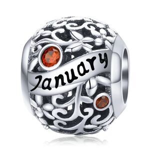 925 Silver January Birthstone Charm